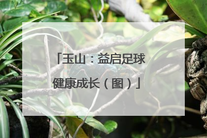 玉山：益启足球 健康成长（图）