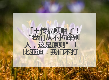 王传福哽咽了！“我们从不拉踩别人，这是原则”！比亚迪：我们不打价格战