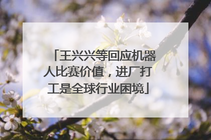 王兴兴等回应机器人比赛价值，进厂打工是全球行业困境