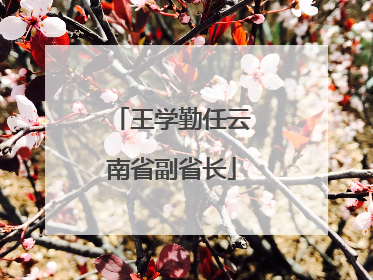 王学勤任云南省副省长