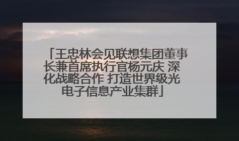 王忠林会见联想集团董事长兼首席执行官杨元庆 深化战略合作 打造世界级光电子信息产业集群