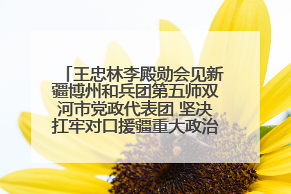王忠林李殿勋会见新疆博州和兵团第五师双河市党政代表团 坚决扛牢对口援疆重大政治责任 推动双方实现优势互补务实合作