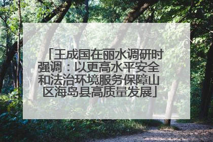 王成国在丽水调研时强调：以更高水平安全和法治环境服务保障山区海岛县高质量发展