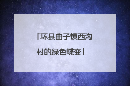 环县曲子镇西沟村的绿色蝶变