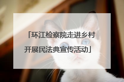 环江检察院走进乡村开展民法典宣传活动