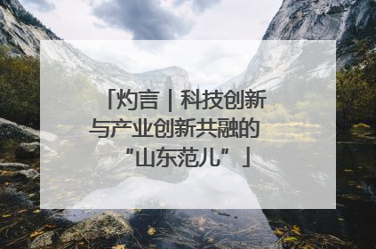 灼言｜科技创新与产业创新共融的“山东范儿”