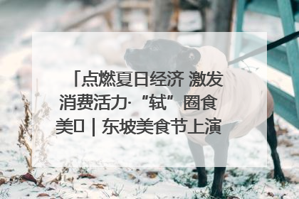 点燃夏日经济 激发消费活力·“轼”圈食美⑪｜东坡美食节上演“文化满汉全席”