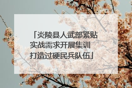 炎陵县人武部紧贴实战需求开展集训 打造过硬民兵队伍