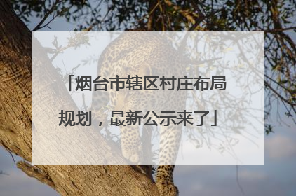 烟台市辖区村庄布局规划，最新公示来了