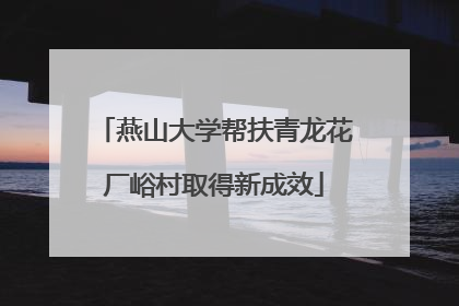 燕山大学帮扶青龙花厂峪村取得新成效