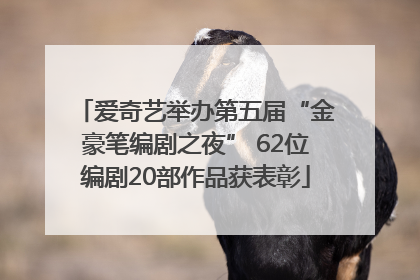 爱奇艺举办第五届“金豪笔编剧之夜” 62位编剧20部作品获表彰