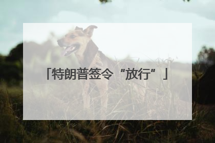 特朗普签令“放行”