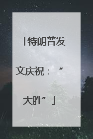 特朗普发文庆祝：“大胜”