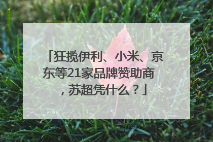 狂揽伊利、小米、京东等21家品牌赞助商，苏超凭什么？