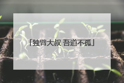 独臂大叔 吾道不孤