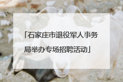 石家庄市退役军人事务局举办专场招聘活动