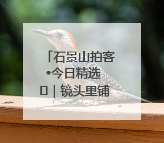 石景山拍客•今日精选 ㉓｜镜头里铺展的烟火画卷（上）