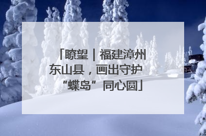 瞭望｜福建漳州东山县，画出守护“蝶岛”同心圆