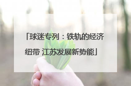 球迷专列：铁轨的经济纽带 江苏发展新势能