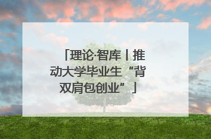 理论·智库丨推动大学毕业生“背双肩包创业”