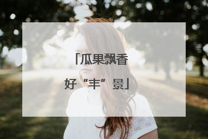 瓜果飘香 好“丰”景