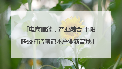 电商赋能，产业融合 平阳腾蛟打造笔记本产业新高地