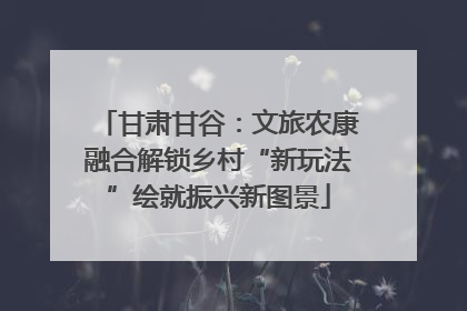 甘肃甘谷：文旅农康融合解锁乡村“新玩法”绘就振兴新图景