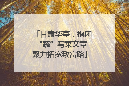 甘肃华亭：抱团“蔬”写菜文章 聚力拓宽致富路