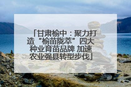 甘肃榆中：聚力打造“榆苗陇萃”四大种业育苗品牌 加速农业强县转型步伐