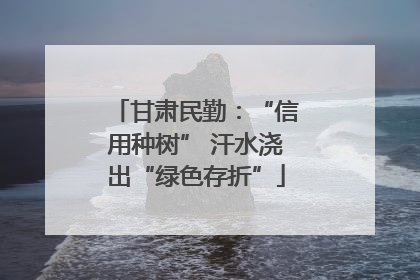 甘肃民勤：“信用种树” 汗水浇出“绿色存折”