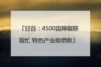 甘谷：4500亩辣椒移栽忙 特色产业助增收