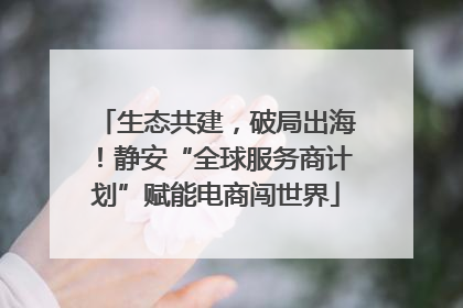 生态共建，破局出海！静安“全球服务商计划”赋能电商闯世界