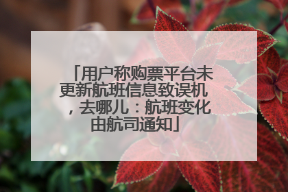 用户称购票平台未更新航班信息致误机，去哪儿：航班变化由航司通知