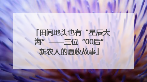 田间地头也有“星辰大海”——三位“00后”新农人的夏收故事