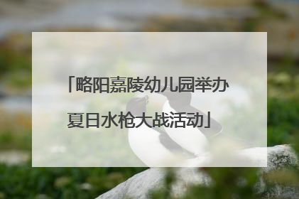 略阳嘉陵幼儿园举办夏日水枪大战活动