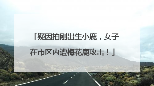 疑因拍刚出生小鹿，女子在市区内遭梅花鹿攻击！