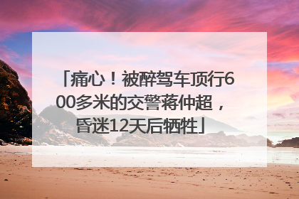 痛心！被醉驾车顶行600多米的交警蒋仲超，昏迷12天后牺牲