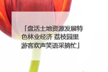 盘活土地资源发展特色林业经济 荔枝园里游客欢声笑语采摘忙
