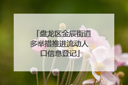 盘龙区金辰街道多举措推进流动人口信息登记