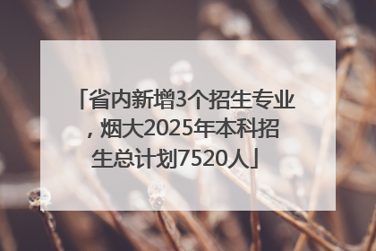 省内新增3个招生专业，烟大2025年本科招生总计划7520人
