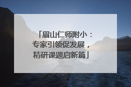 眉山仁师附小：专家引领促发展，精研课题启新篇