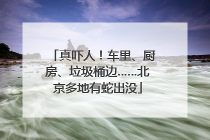 真吓人！车里、厨房、垃圾桶边……北京多地有蛇出没