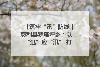 筑牢“汛”防线｜慈利县罗塔坪乡：以“迅”应“汛” 打赢暴雨防御战