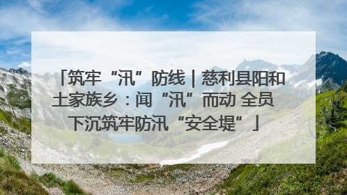 筑牢“汛”防线｜慈利县阳和土家族乡：闻“汛”而动 全员下沉筑牢防汛“安全堤”