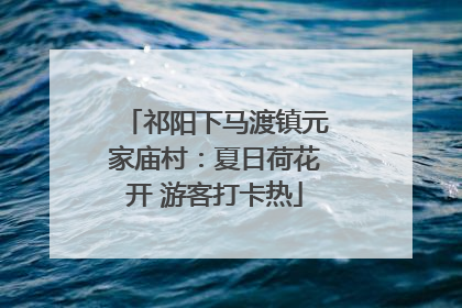 祁阳下马渡镇元家庙村：夏日荷花开 游客打卡热