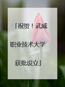 祝贺！武威职业技术大学获批设立