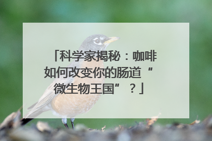 科学家揭秘：咖啡如何改变你的肠道“微生物王国”？