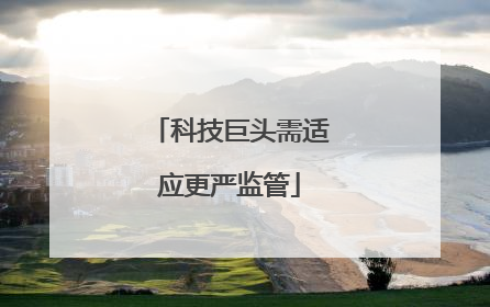 科技巨头需适应更严监管