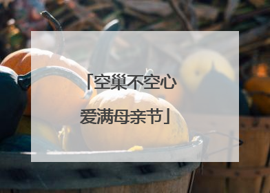 空巢不空心 爱满母亲节