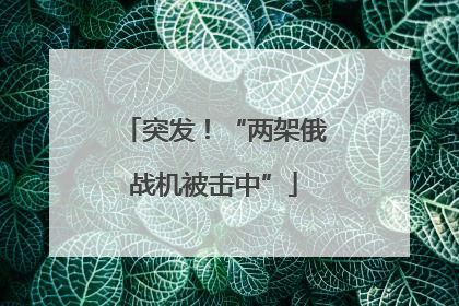 突发！“两架俄战机被击中”